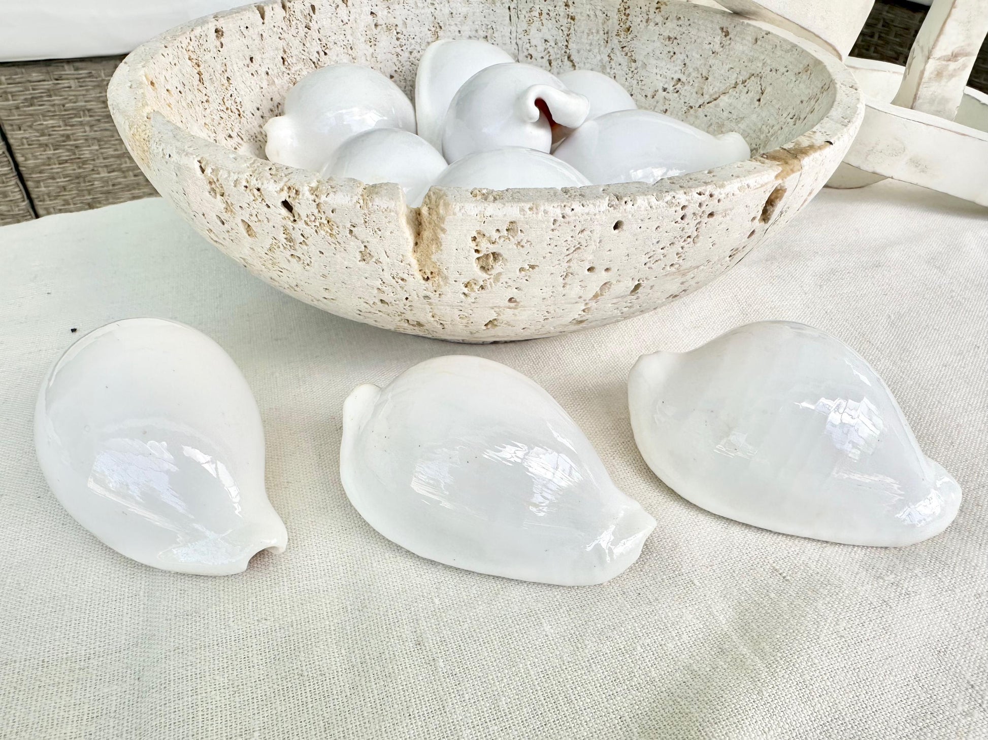 Pick Size-Big WHITE Cowrie Shell Egg Cowry Ovula Display Shell Seashell Home Beach Nautical Coastal Crafts Art Décor