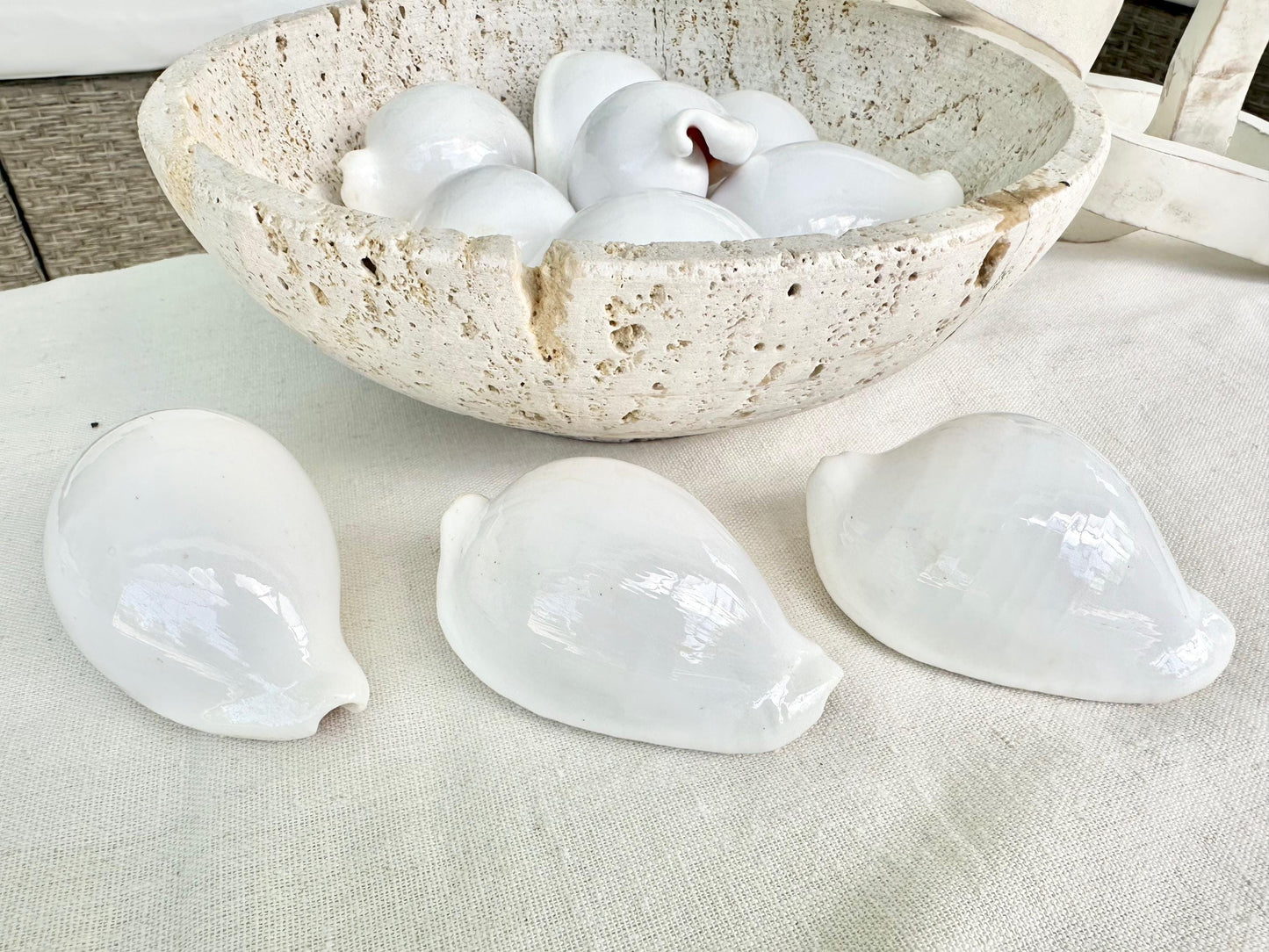 WHITE EGG COWRIE Shells *All Sizes* Craft Seashell Coastal Beach Home Décor
