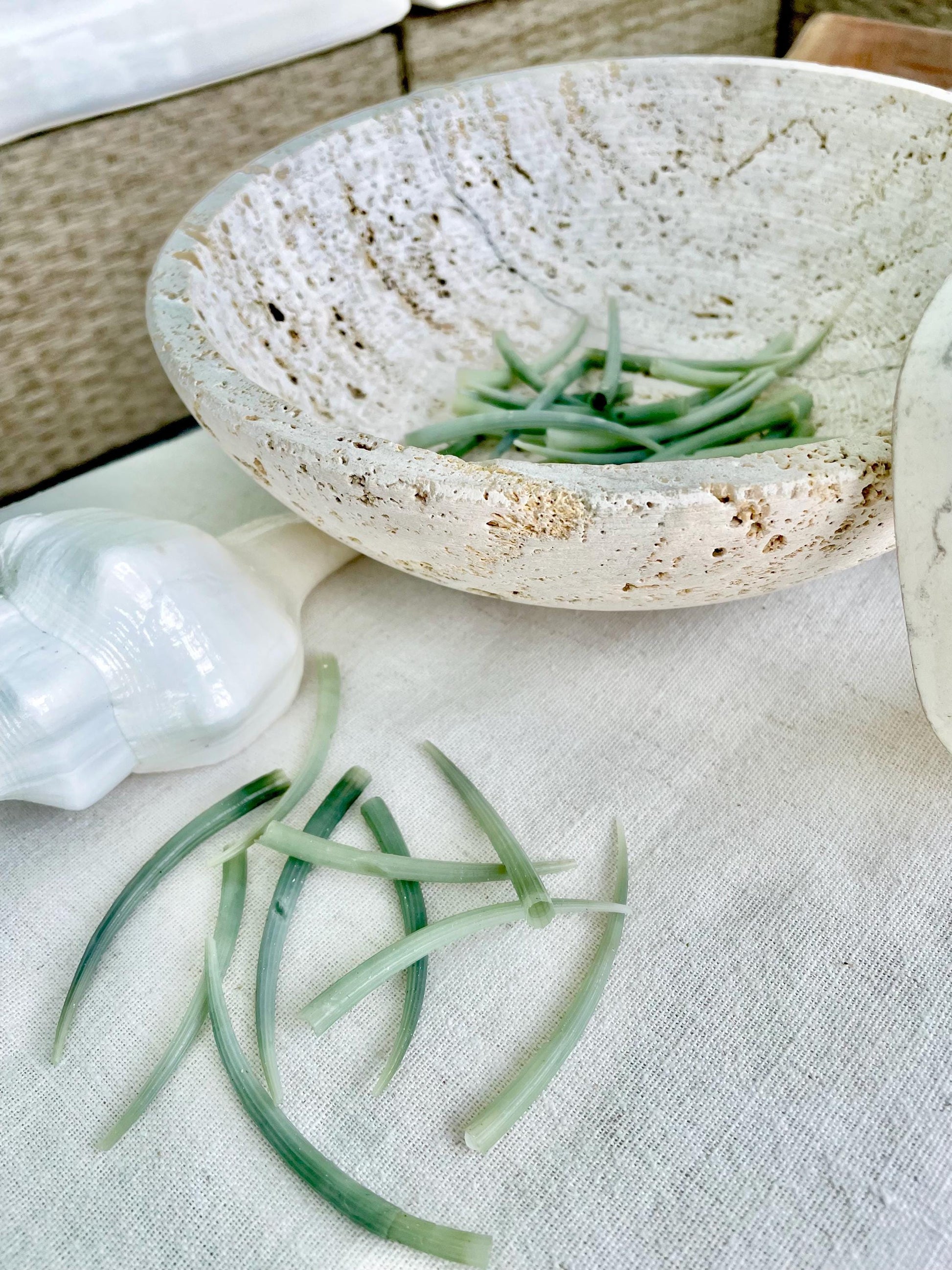 Seafoam Green Tusk Shells 2-3", Dentalium Seashells, Coastal Art & Jewelry
