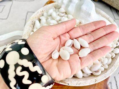 WHITE BUBBLE SHELLS *Sold By Kilo* .5-1" 1200Pc 2.2 Pounds Natural Small Craft seashells Coastal Beach Home Décor Wedding Supplies