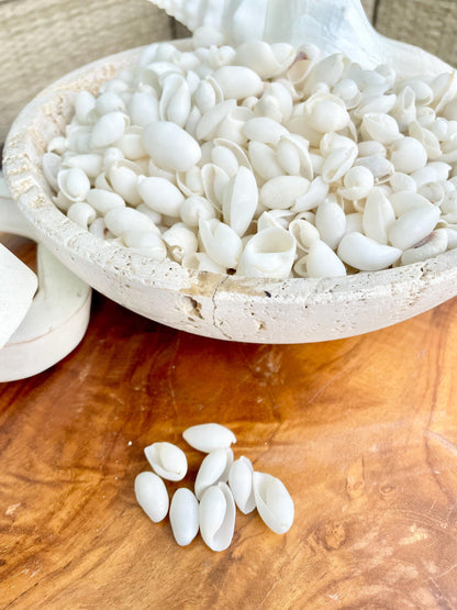 WHITE BUBBLE SHELLS *Sold By Kilo* .5-1" 1200Pc 2.2 Pounds Natural Small Craft seashells Coastal Beach Home Décor Wedding Supplies
