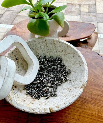 BEEHIVE BUMBLEBEE SHELLS *You Choose Quantity* 1/4-1/2" Natural Black White Striped Tiny Craft Seashells Beach Coastal Art Home Décor