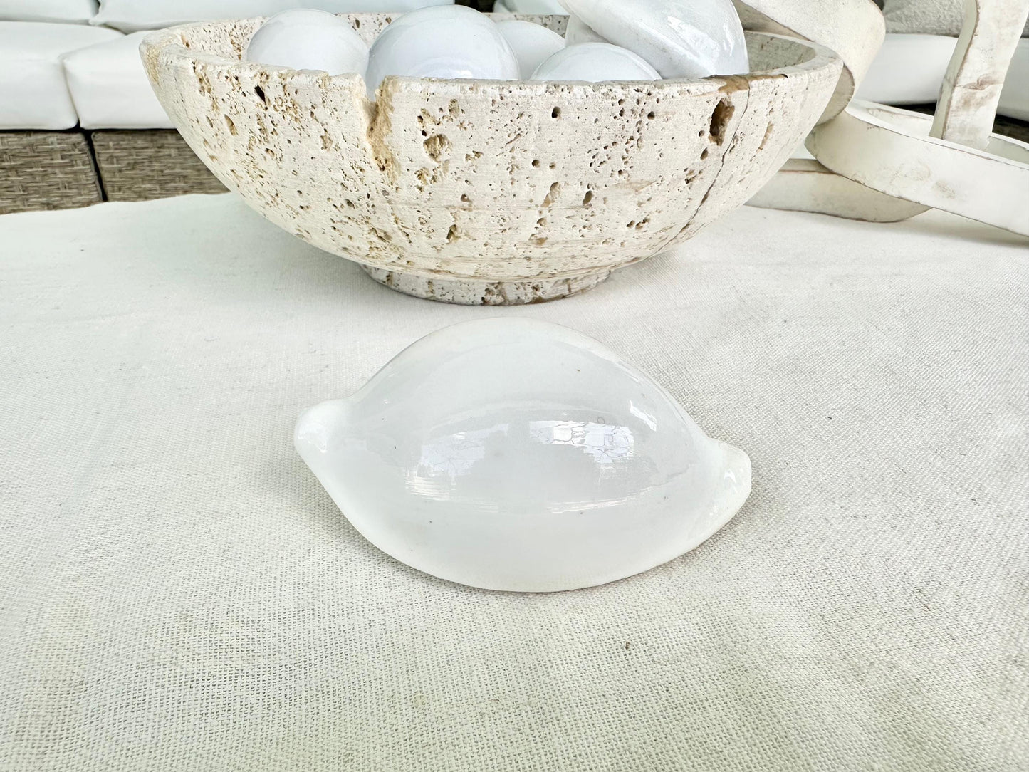 Pick Size-Big WHITE Cowrie Shell Egg Cowry Ovula Display Shell Seashell Home Beach Nautical Coastal Crafts Art Décor