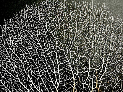 Natural Dried White Sea Fans (5"-20") *You Choose Size* Beach Coastal Décor