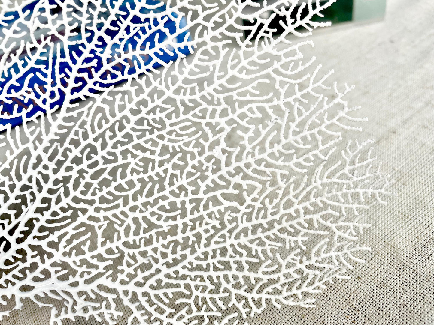 White Sea Fan (8-20") *You Choose Size* Natural Hand Painted Coastal Décor