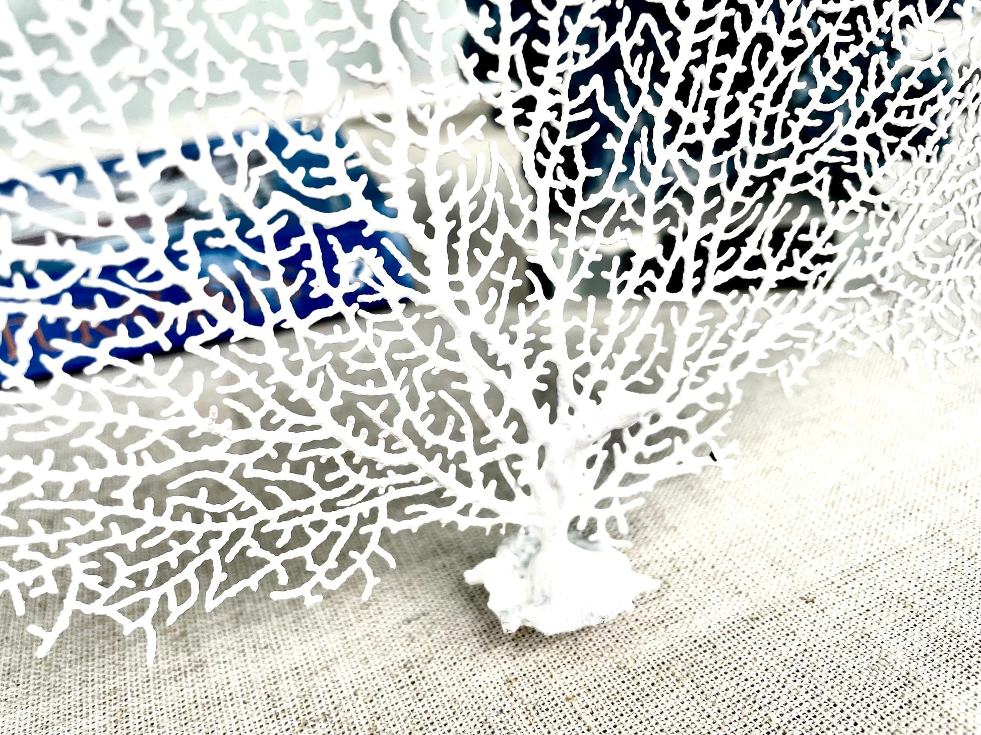 Natural Dried Real Sea Fans Painted WHITE 8-20" You Choose Size Ocean Reef Decoration Natural Beach Coastal Décor Display