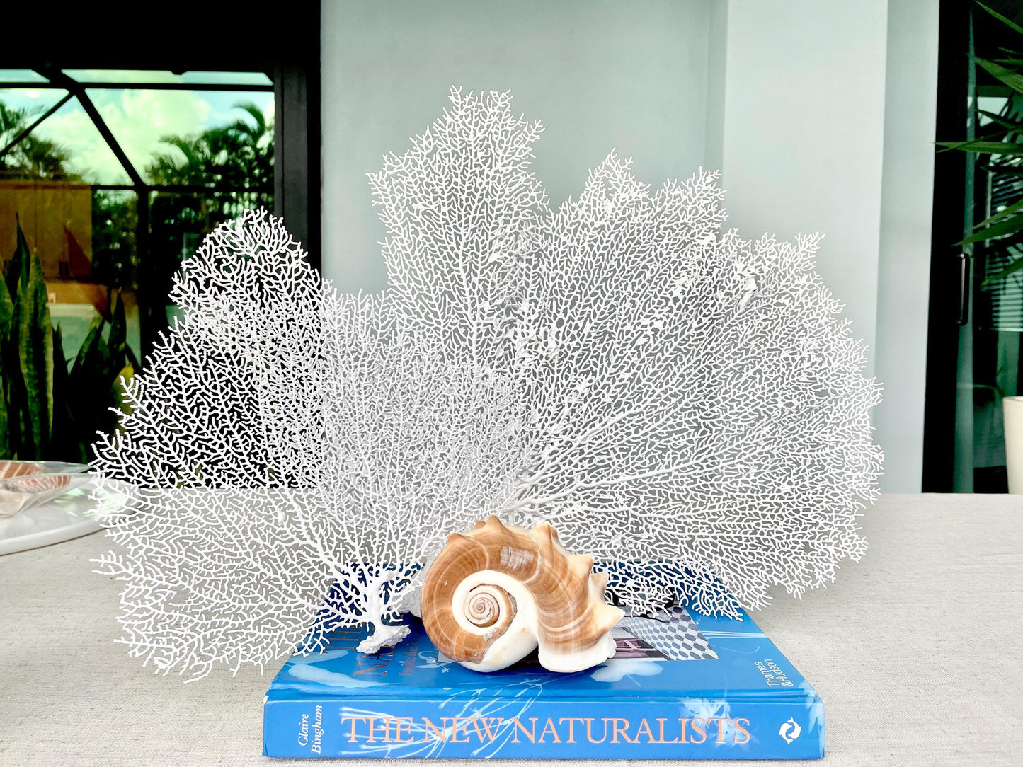 White Sea Fan 10-16" *You Choose Size* Natural Hand Painted Coastal Décor