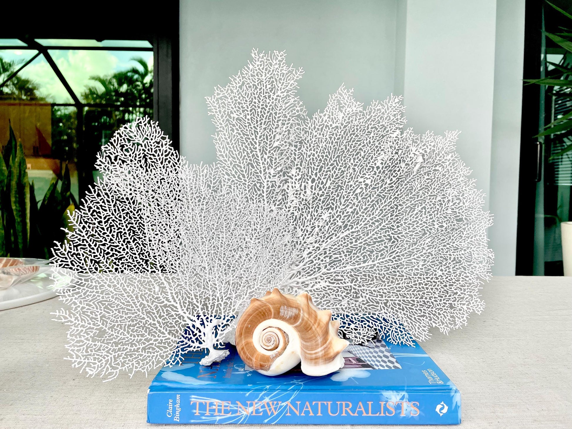 White Sea Fan 10-16" *You Choose Size* Natural Hand Painted Coastal Décor