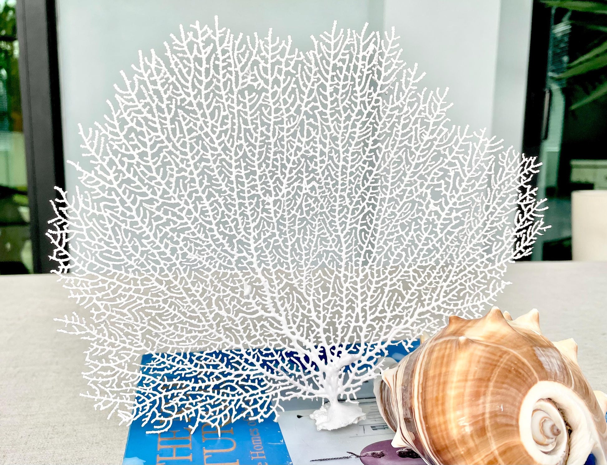 Natural Dried Real Sea Fans Painted WHITE 8-20" You Choose Size Ocean Reef Decoration Natural Beach Coastal Décor Display