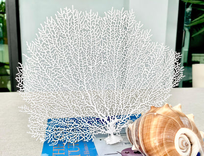 Natural Dried Real Sea Fans Painted WHITE 8-20" You Choose Size Ocean Reef Decoration Natural Beach Coastal Décor Display