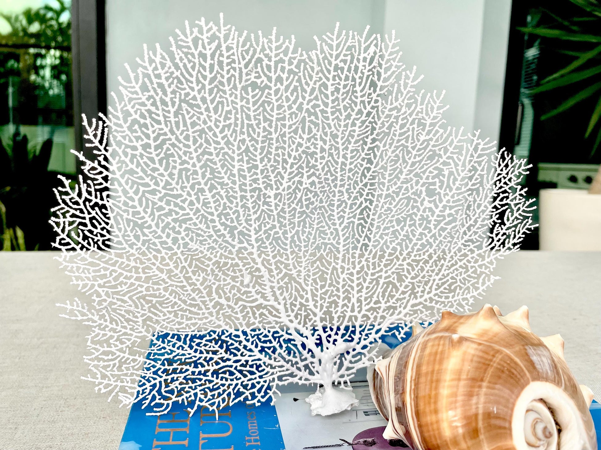 White Sea Fan (8-20") *You Choose Size* Natural Hand Painted Coastal Décor