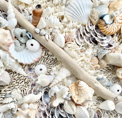 Handmade Coastal Shell Wall Art Natural Driftwood Seashells 24" or 30" Square Seashell Coral Beach Lake Décor Blue Grey White Beige Sanibel