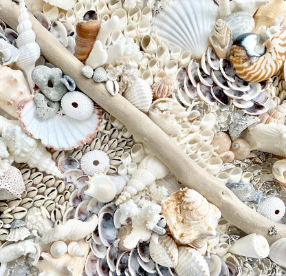 Handmade Coastal Shell Wall Art -Natural Driftwood & Shells, Blue White 24-30" Square