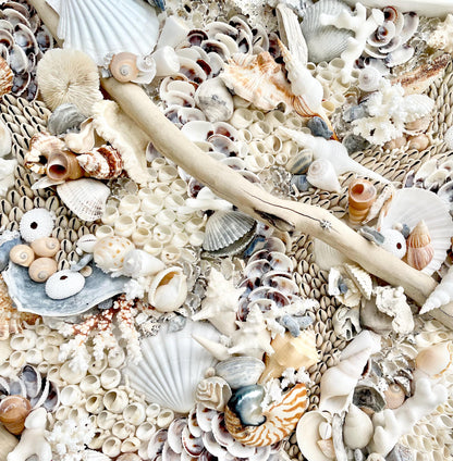 Handmade Coastal Wall Art Natural Driftwood Seashells 24" or 30" Square Sea Shell Coral Beach Lake Décor Blue Grey White Beige Sanibel