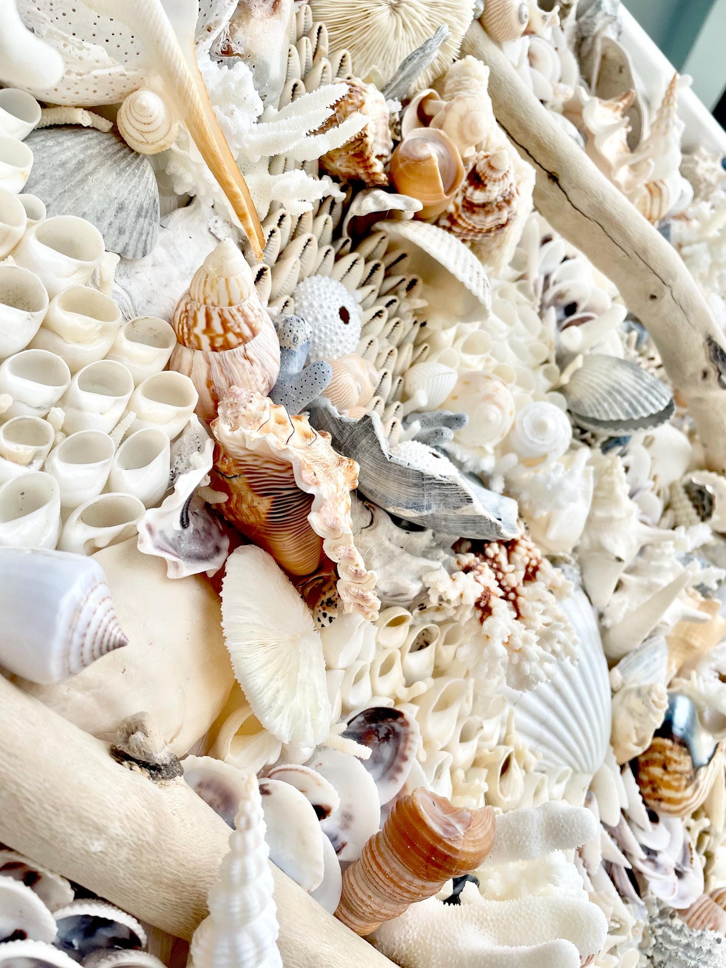 Handmade Coastal Shell Wall Art Natural Driftwood Seashells 24" or 30" Square Seashell Coral Beach Lake Décor Blue Grey White Beige Sanibel