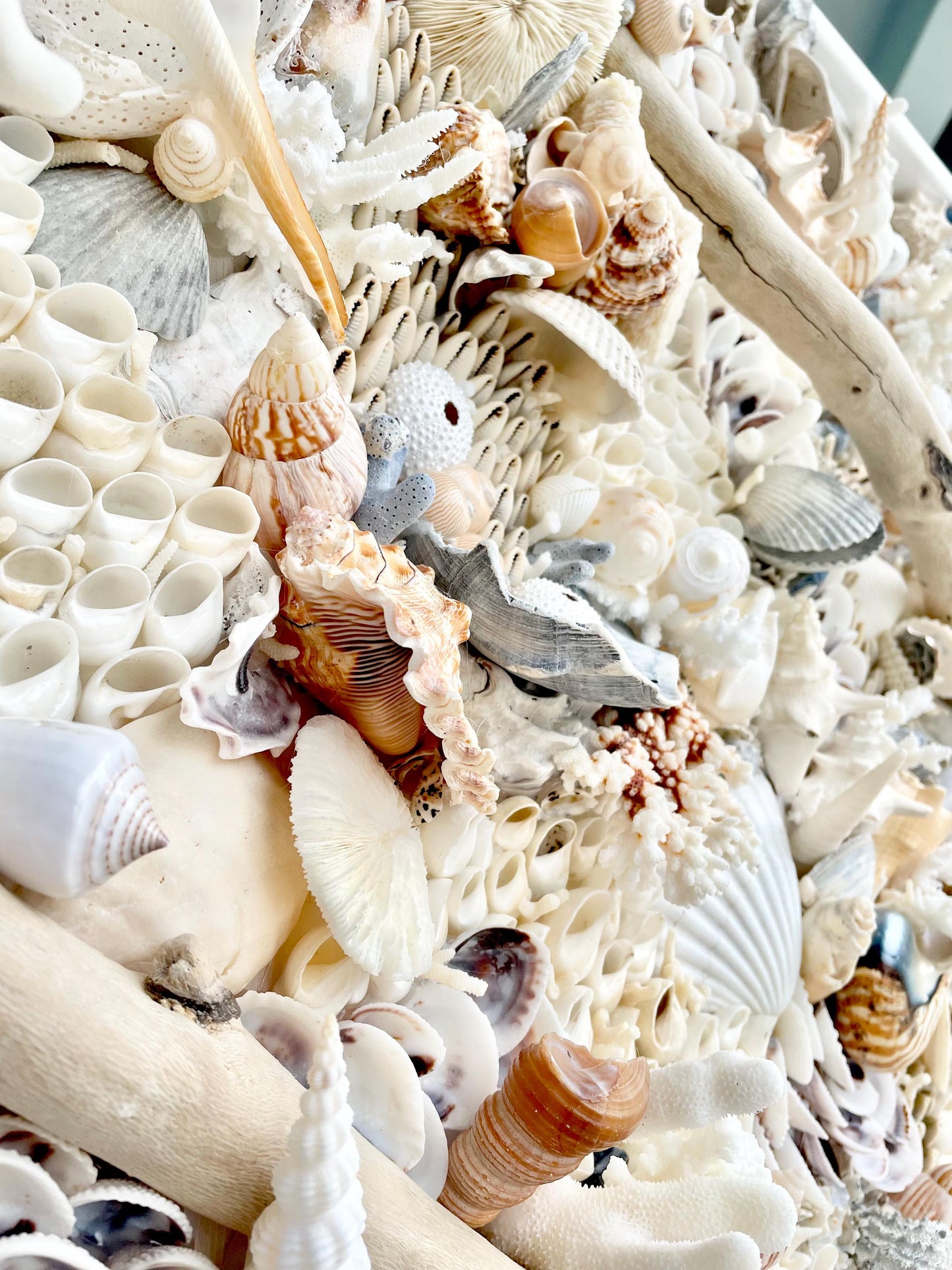 Handmade Coastal Shell Wall Art -Natural Driftwood & Shells, Blue White 24-30" Square