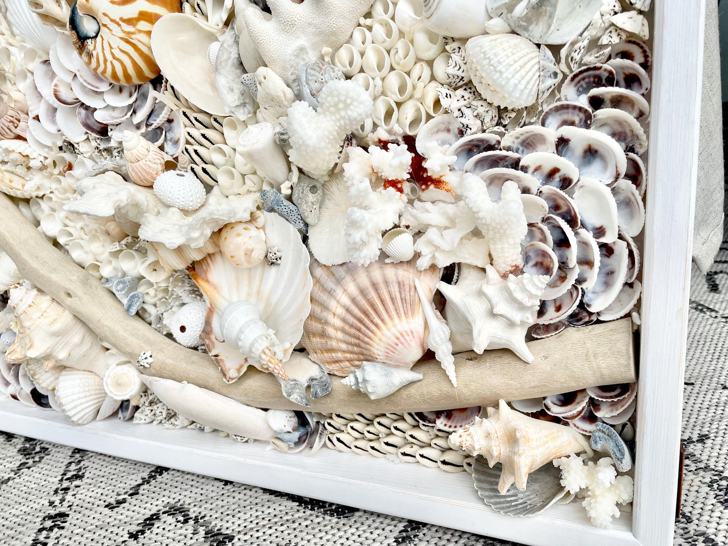 Handmade Coastal Shell Wall Art -Natural Driftwood & Shells, Blue White 24-30" Square