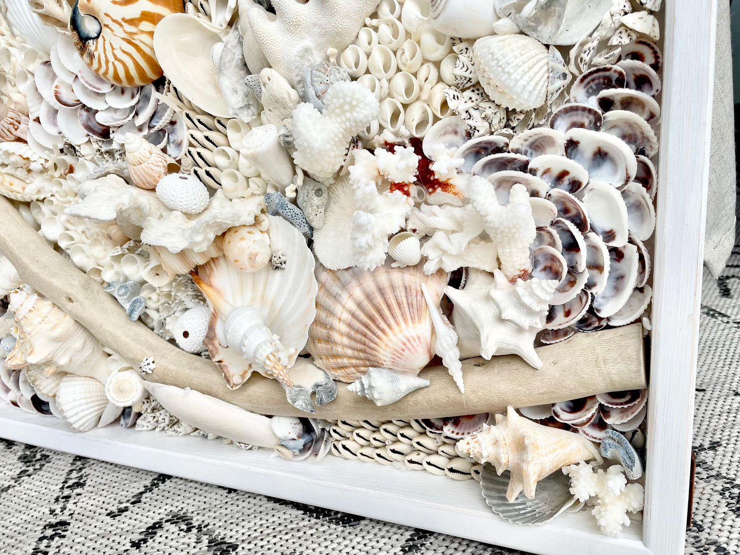 Handmade Coastal Wall Art Natural Driftwood Seashells 24" or 30" Square Sea Shell Coral Beach Lake Décor Blue Grey White Beige Sanibel