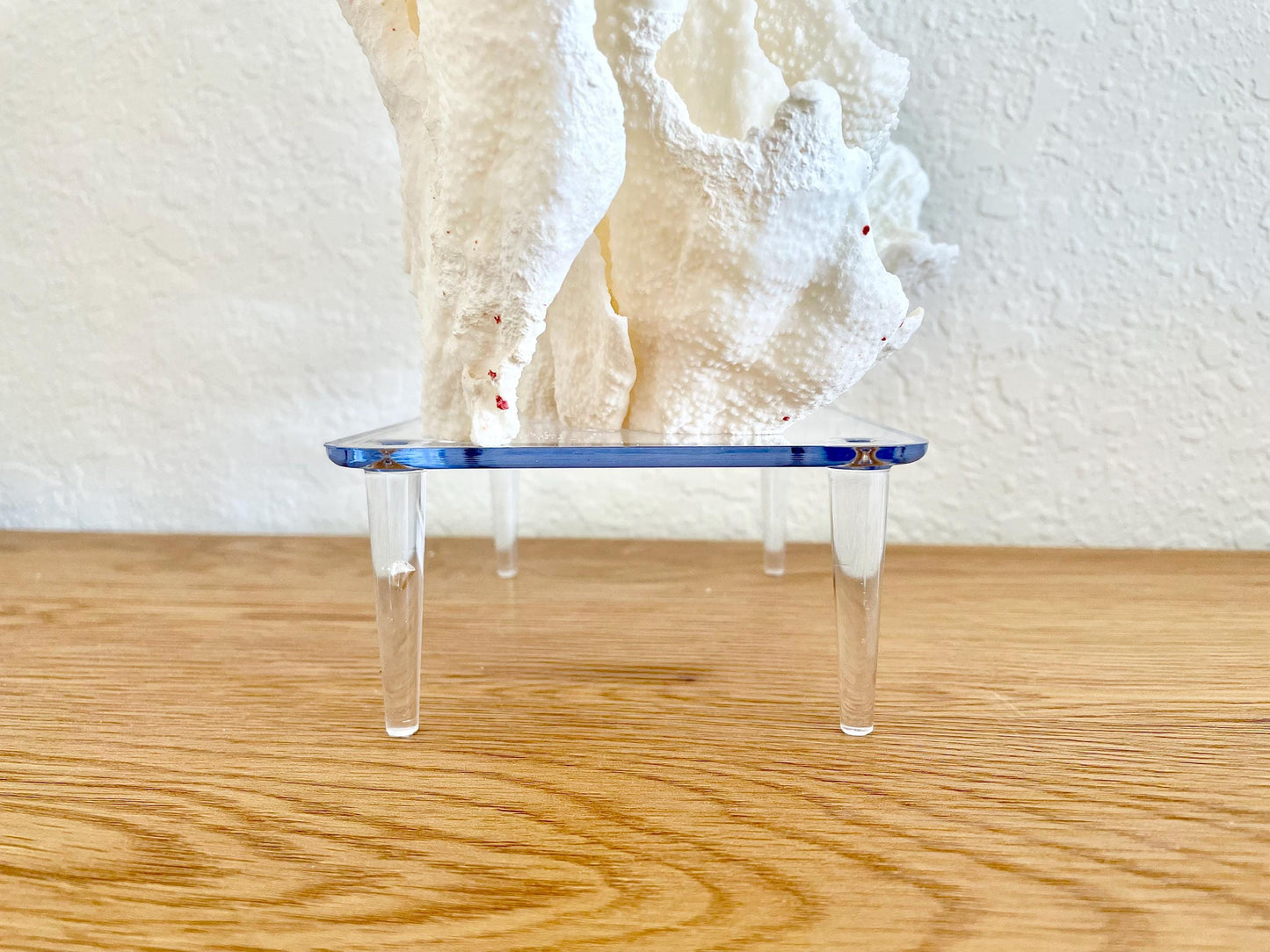 Large Clear Lucite Acrylic Display Stand 6.25 x 4.5 x 2.25" For Mounting Seashells, corals, and more... 4 Leg Riser