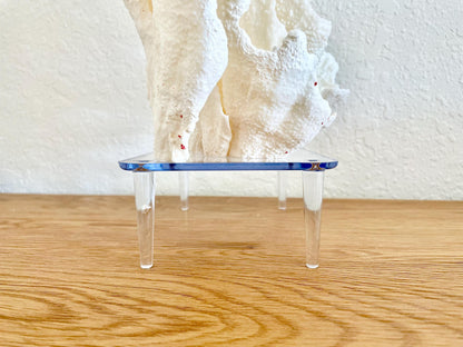 Large Clear Lucite Acrylic Display Stand 6.25 x 4.5 x 2.25" For Mounting Seashells, corals, and more... 4 Leg Riser