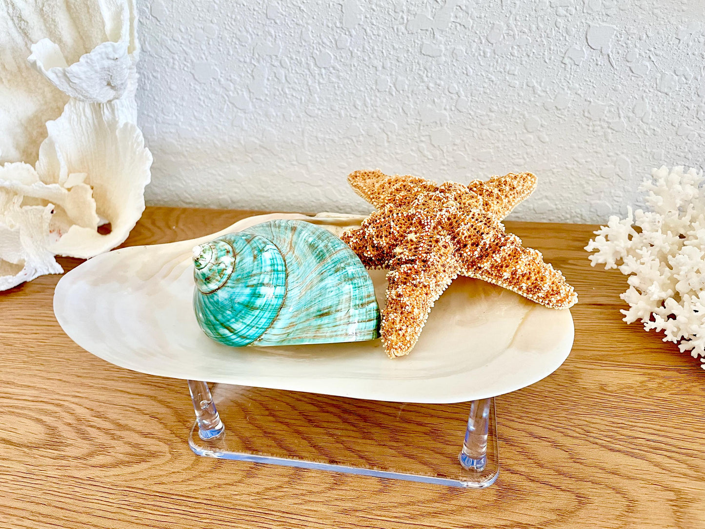 Large Clear Lucite Acrylic Display Stand 6.25 x 4.5 x 2.25" For Mounting Seashells, corals, and more... 4 Leg Riser