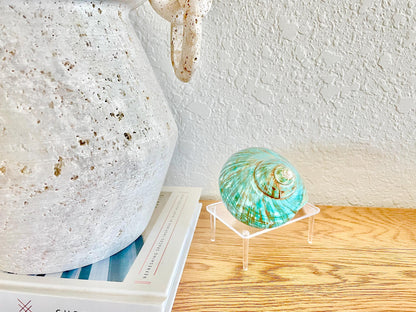 Small Clear Lucite Acrylic Display Stand 3.5 x 2.5 x 1.5 For Mounting Seashells Stones, corals, and more... 4 Leg Riser