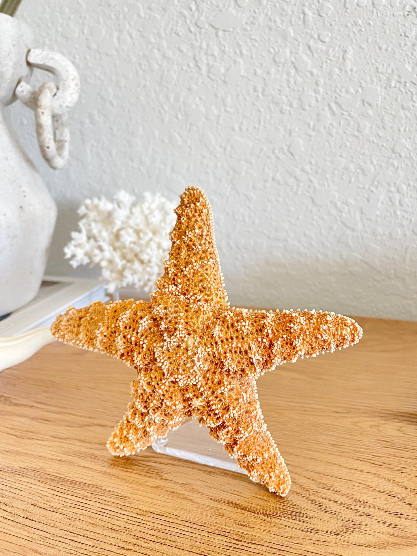 Small Clear Lucite Acrylic Display Stand 3.5 x 2.5 x 1.5 For Mounting Seashells Stones, corals, and more... 4 Leg Riser