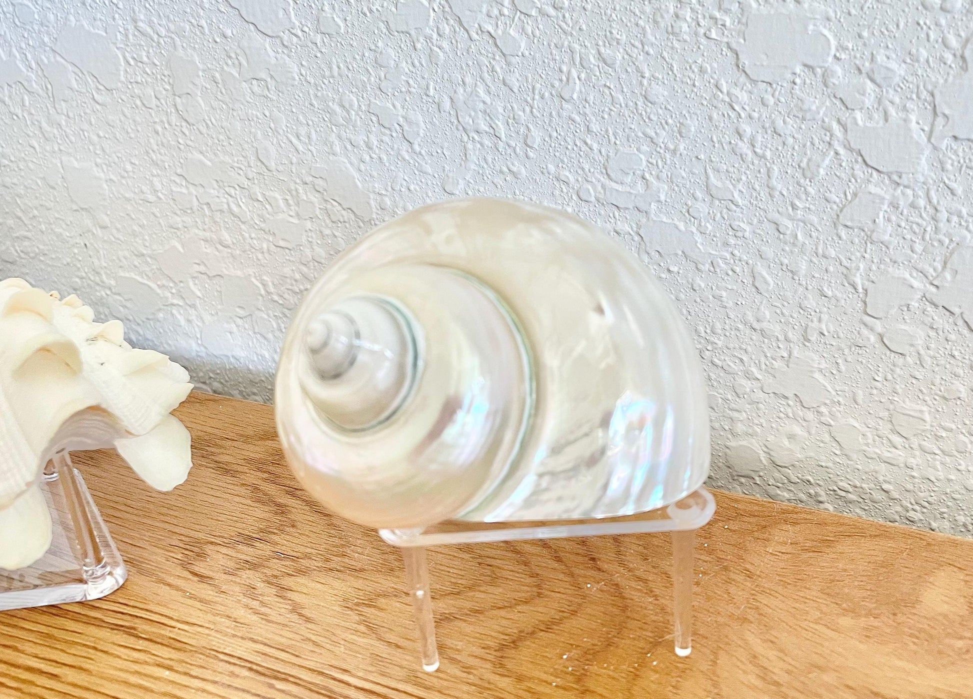 Triangle Small Clear Lucite Acrylic Display Stand 2.5 x 2.5 x 1.5" For Mounting Sea shells stones, corals, and more... 3 Leg Riser