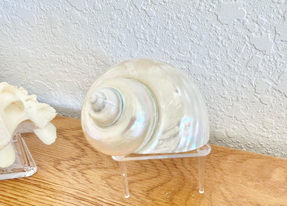 Triangle Small Clear Lucite Acrylic Display Stand 2.5 x 2.5 x 1.5" For Mounting Sea shells stones, corals, and more... 3 Leg Riser