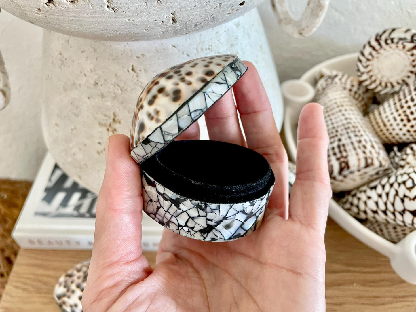 Tiger Cowry Coastal Seashell Gift Box Seashell Jewelry Trinket Dish Beach Décor Mother of Pearl Abalone Irredescent Bottom