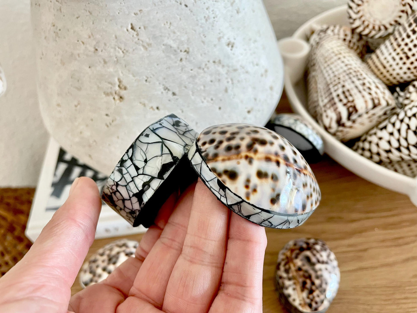 Tiger Cowry Coastal Seashell Gift Box Seashell Jewelry Trinket Dish Beach Décor Mother of Pearl Abalone Irredescent Bottom