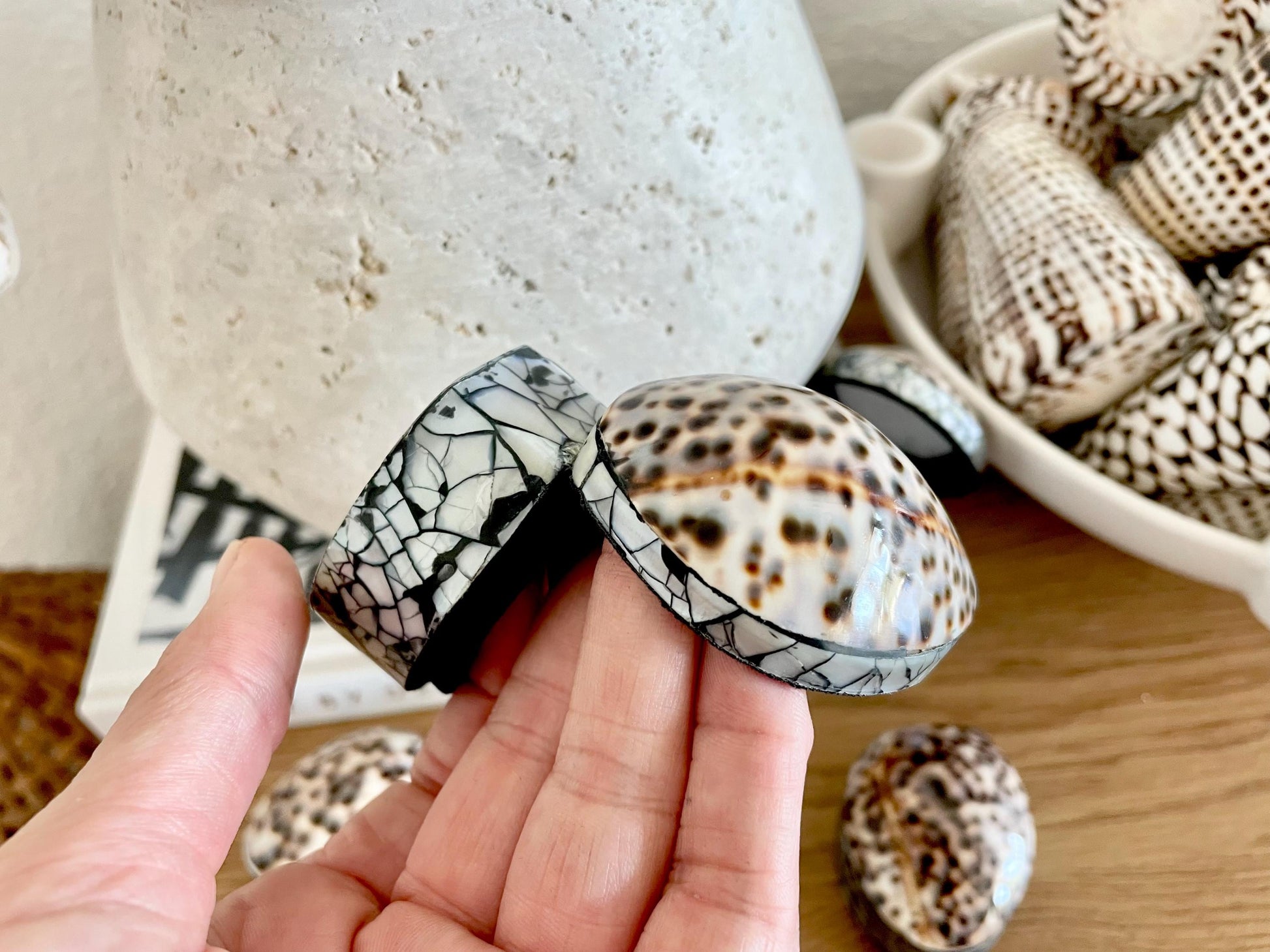 Tiger Cowry Coastal Seashell Gift Box Seashell Jewelry Trinket Dish Beach Décor Mother of Pearl Abalone Irredescent Bottom