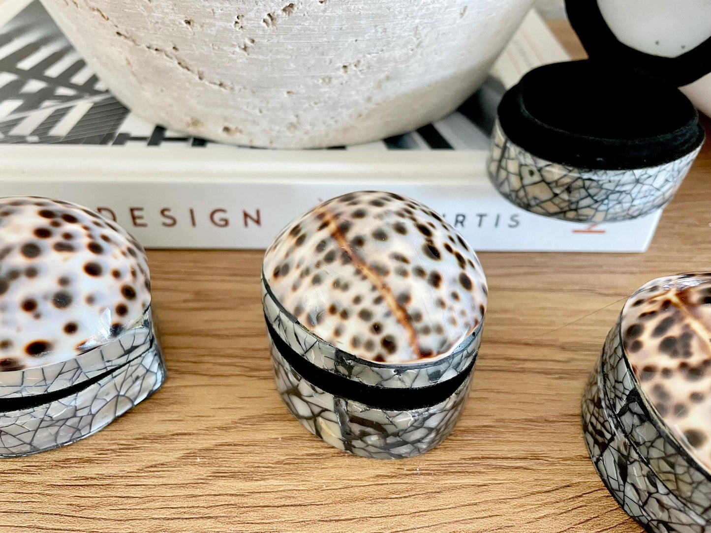 Tiger Cowry Coastal Seashell Gift Box Seashell Jewelry Trinket Dish Beach Décor Mother of Pearl Abalone Irredescent Bottom