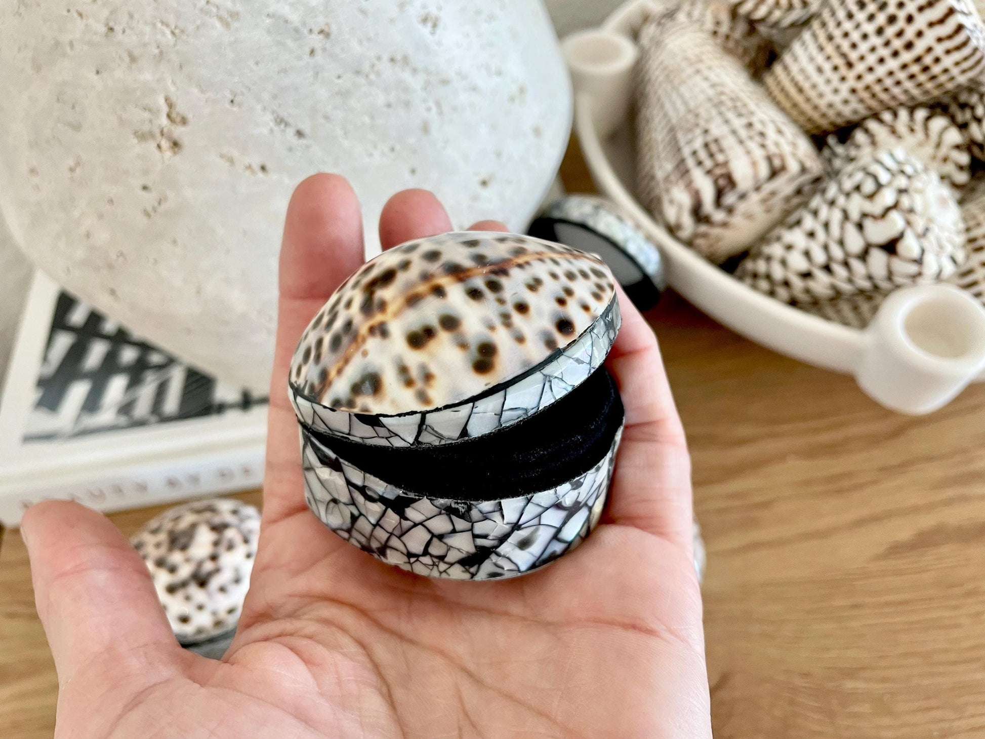 Tiger Cowry Coastal Seashell Gift Box Seashell Jewelry Trinket Dish Beach Décor Mother of Pearl Abalone Irredescent Bottom