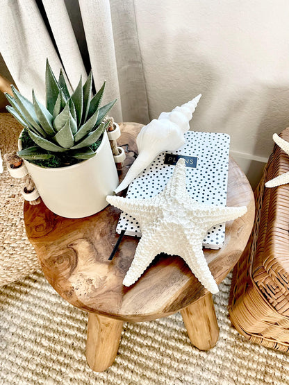 Knobby Starfish 100% Real XS-XXL 2-10" Off White/Tan Color Crafts & Coastal Décor Star Fish Wedding Beach Nautical Stars Small Medium Large