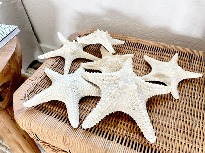 Knobby Starfish 100% Real XS-XXL 2-10" Off White/Tan Color Crafts & Coastal Décor Star Fish Wedding Beach Nautical Stars Small Medium Large