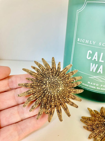 Mexican Sunflower Starfish Authentic 100% Real 2-5" *You Choose Size* Sea Star Wedding Décor Unique Brown Beach Real Dried