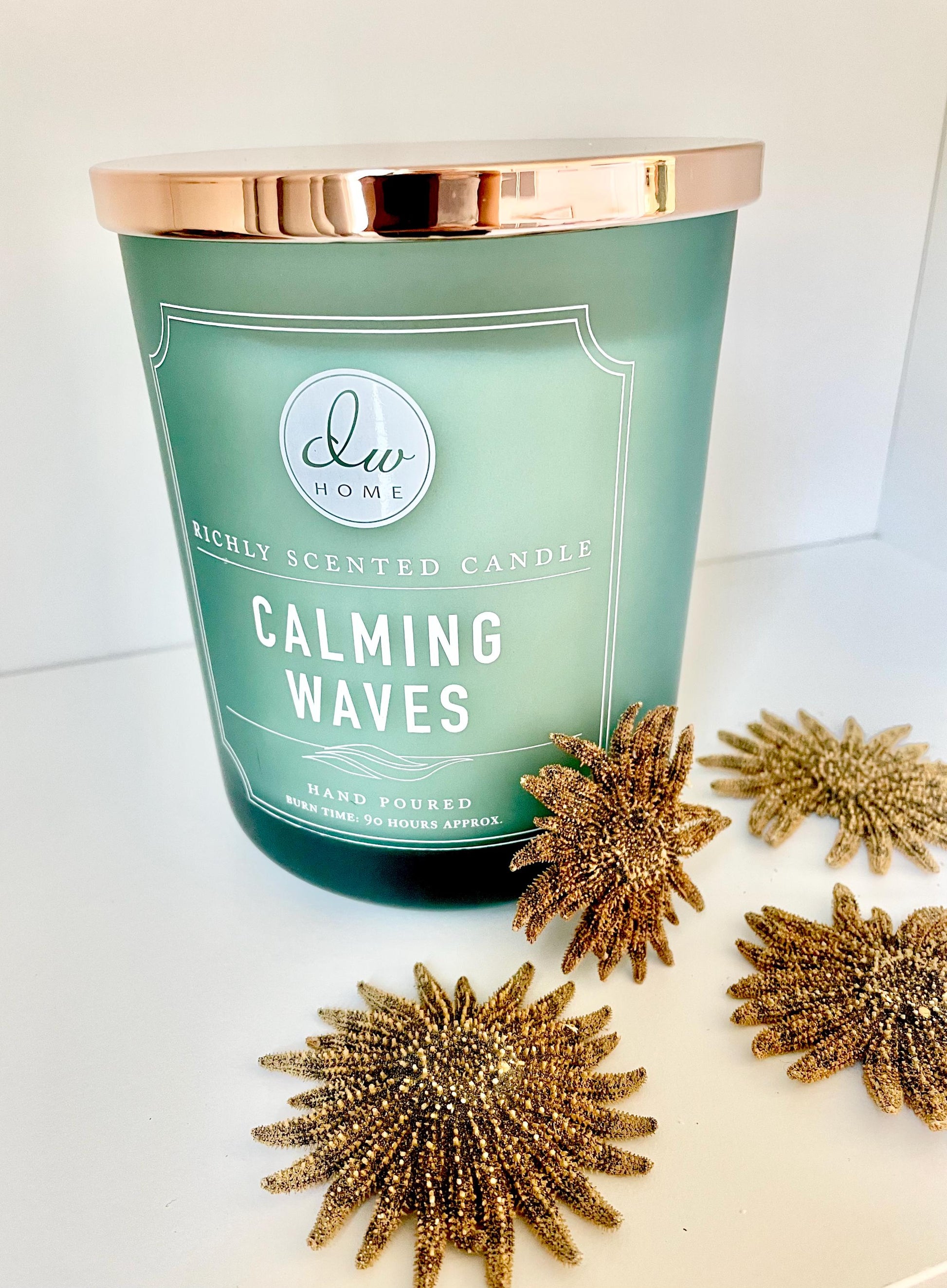 Mexican Sunflower Starfish Authentic 100% Real 2-5" *You Choose Size* Sea Star Wedding Décor Unique Brown Beach Real Dried