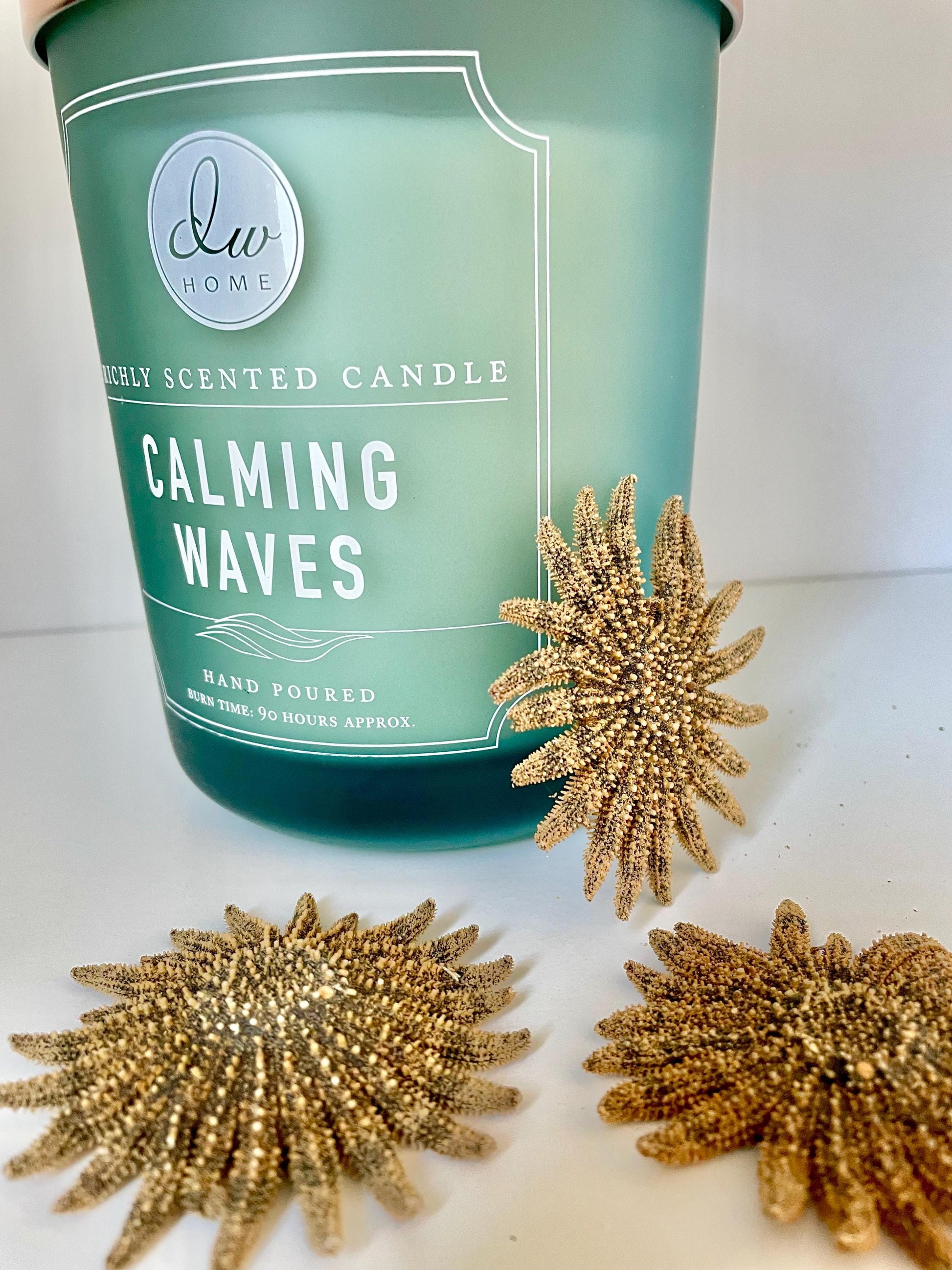 Mexican Sunflower Starfish Authentic 100% Real 2-5" *You Choose Size* Sea Star Wedding Décor Unique Brown Beach Real Dried