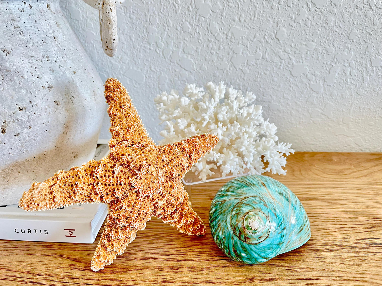 Small Clear Lucite Acrylic Display Stand 3.5 x 2.5 x 1.5 For Mounting Seashells Stones, corals, and more... 4 Leg Riser