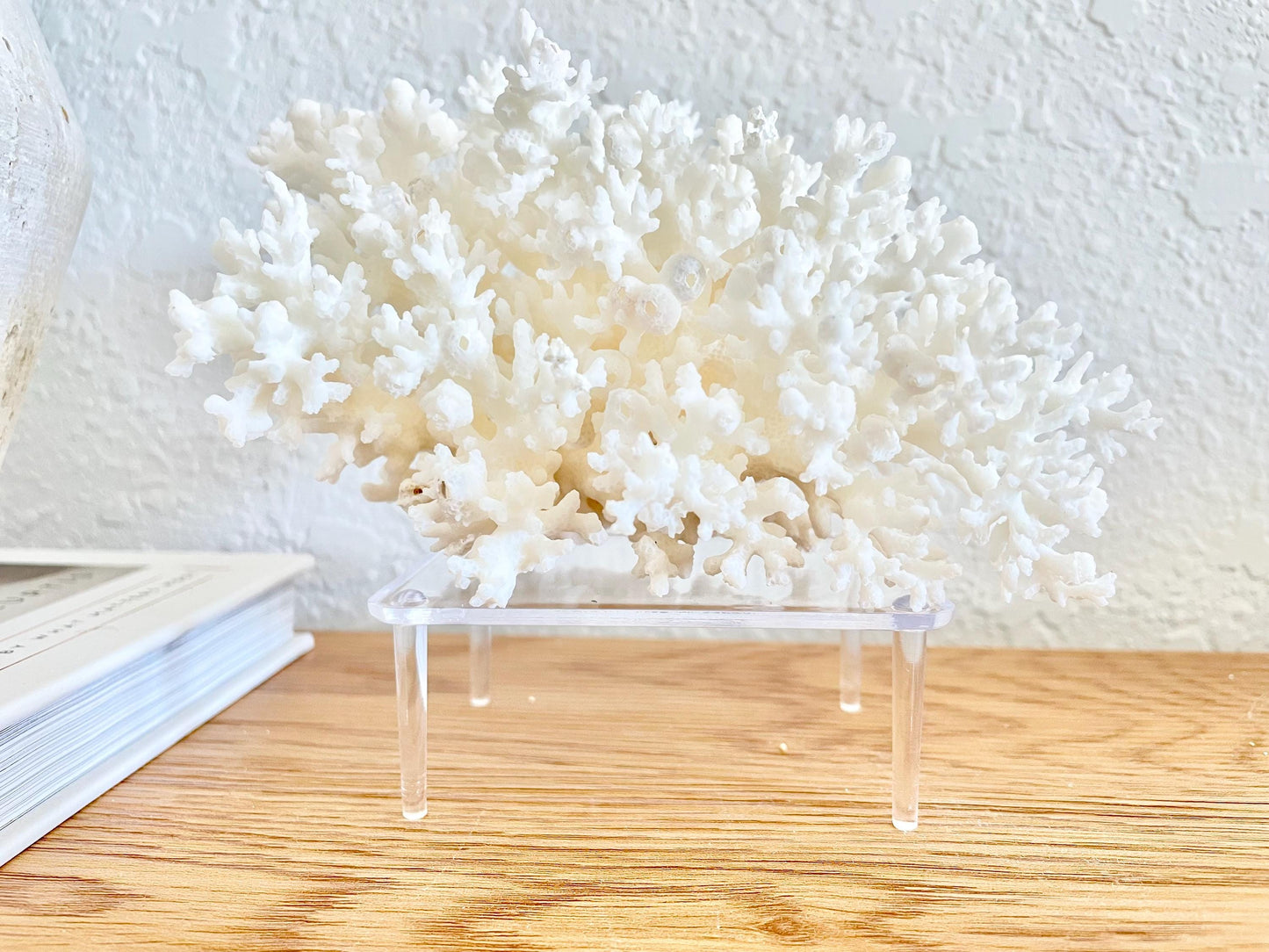 Small Clear Lucite Acrylic Display Stand 3.5 x 2.5 x 1.5 For Mounting Seashells Stones, corals, and more... 4 Leg Riser
