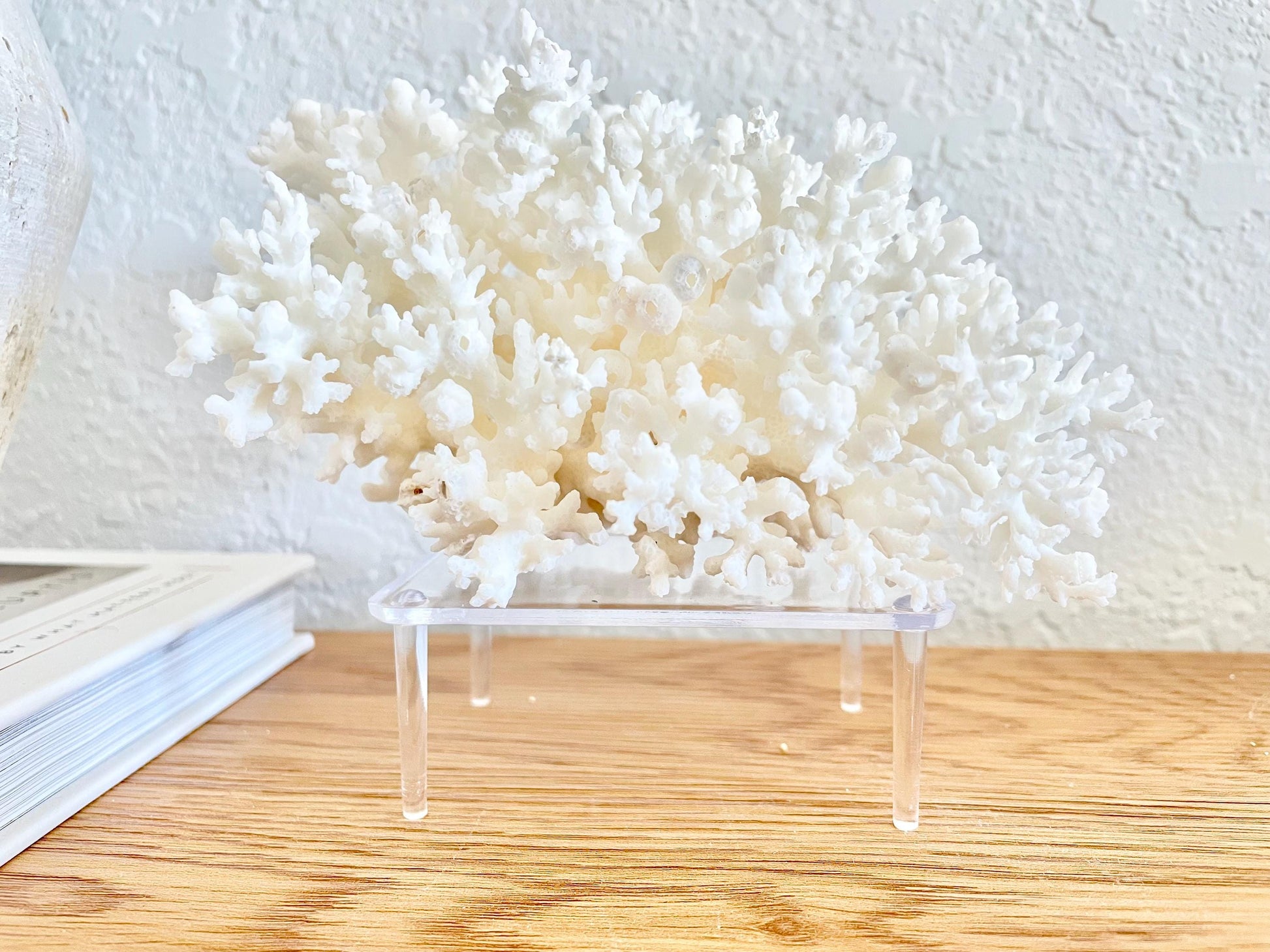 Small Clear Lucite Acrylic Display Stand 3.5 x 2.5 x 1.5" Seashells, Corals