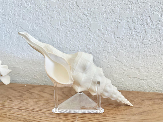 Triangle Small Clear Lucite Acrylic Display Stand 2.5 x 2.5 x 1.5" For Mounting Sea shells stones, corals, and more... 3 Leg Riser
