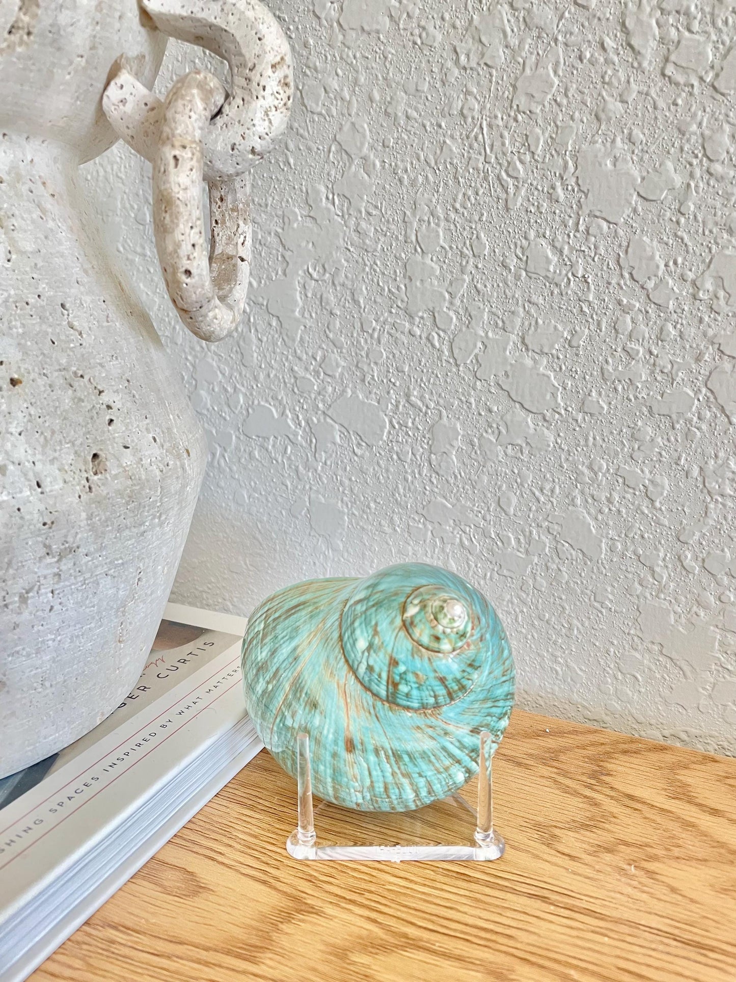 Triangle Small Clear Lucite Acrylic Display Stand 2.5 x 2.5 x 1.5" For Mounting Sea shells stones, corals, and more... 3 Leg Riser