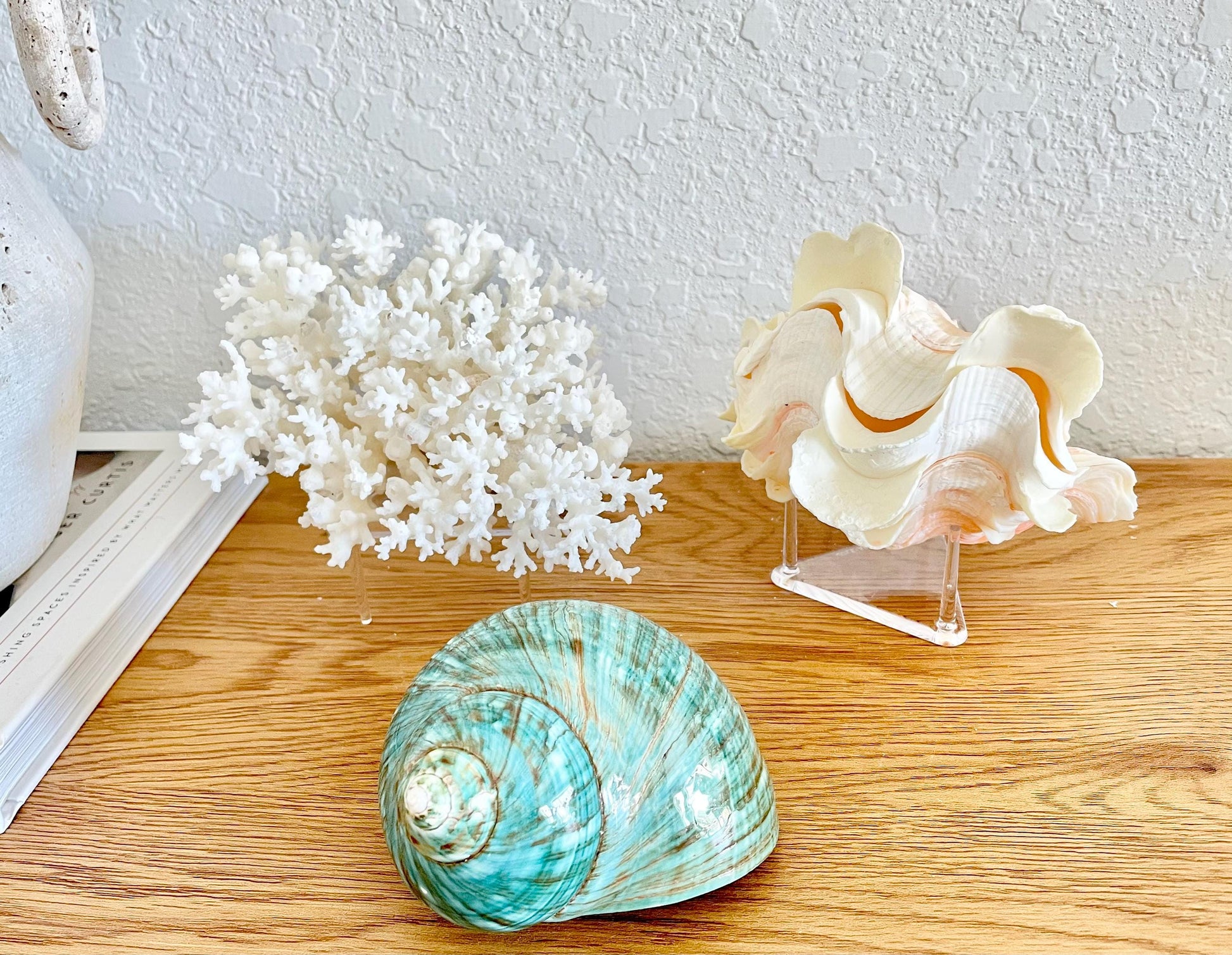 Clear Lucite Triangle Display Stand 2.5x2.5x1.5" For Coral and Shells