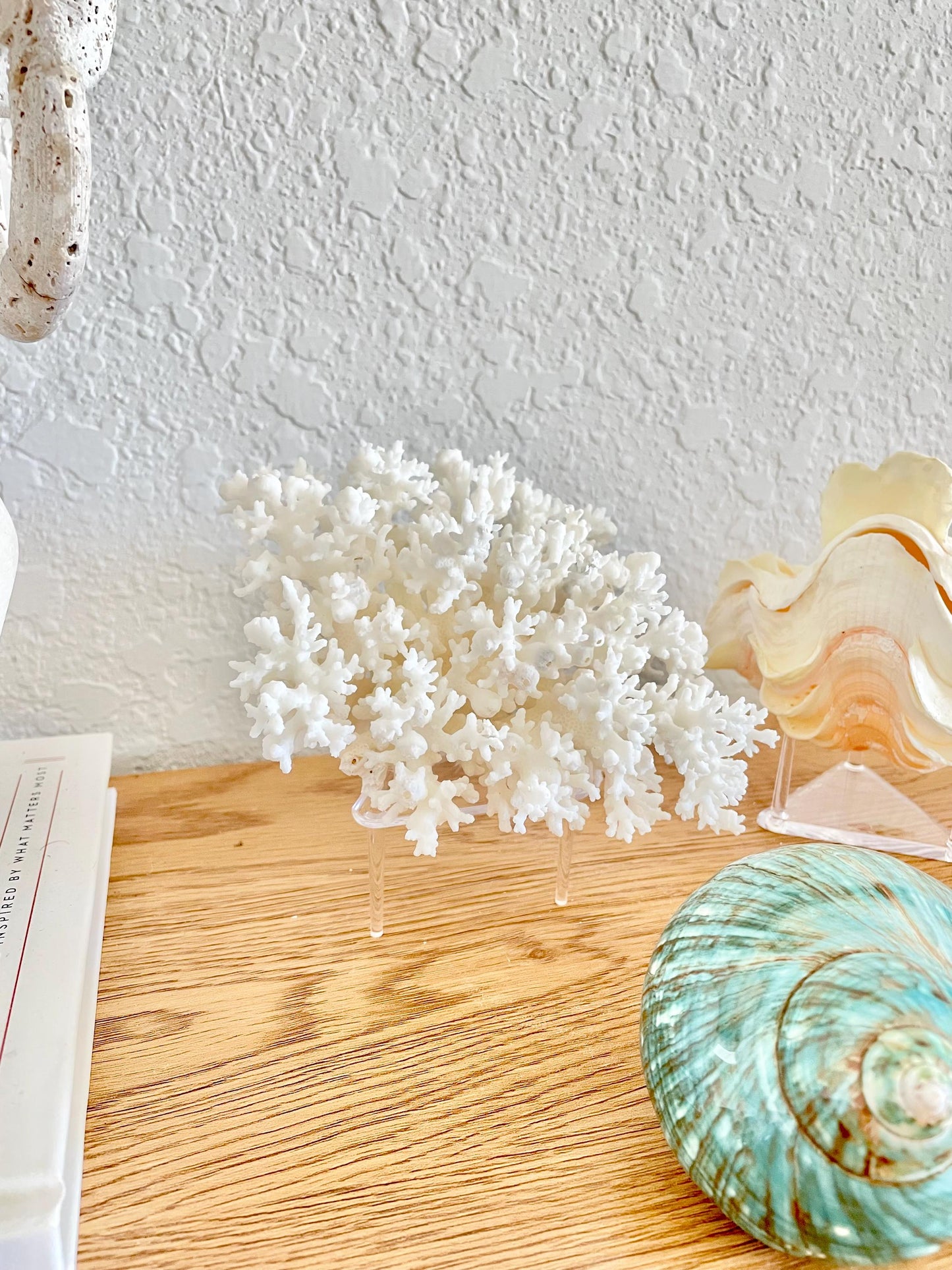 Triangle Small Clear Lucite Acrylic Display Stand 2.5 x 2.5 x 1.5" For Mounting Sea shells stones, corals, and more... 3 Leg Riser