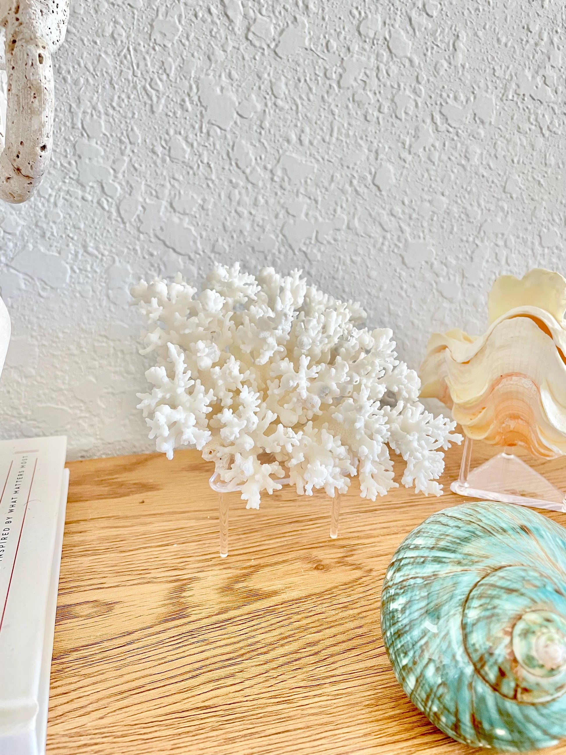 Triangle Small Clear Lucite Acrylic Display Stand 2.5 x 2.5 x 1.5" For Mounting Sea shells stones, corals, and more... 3 Leg Riser