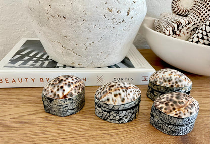 Tiger Cowry Coastal Seashell Gift Box Seashell Jewelry Trinket Dish Beach Décor Mother of Pearl Abalone Irredescent Bottom