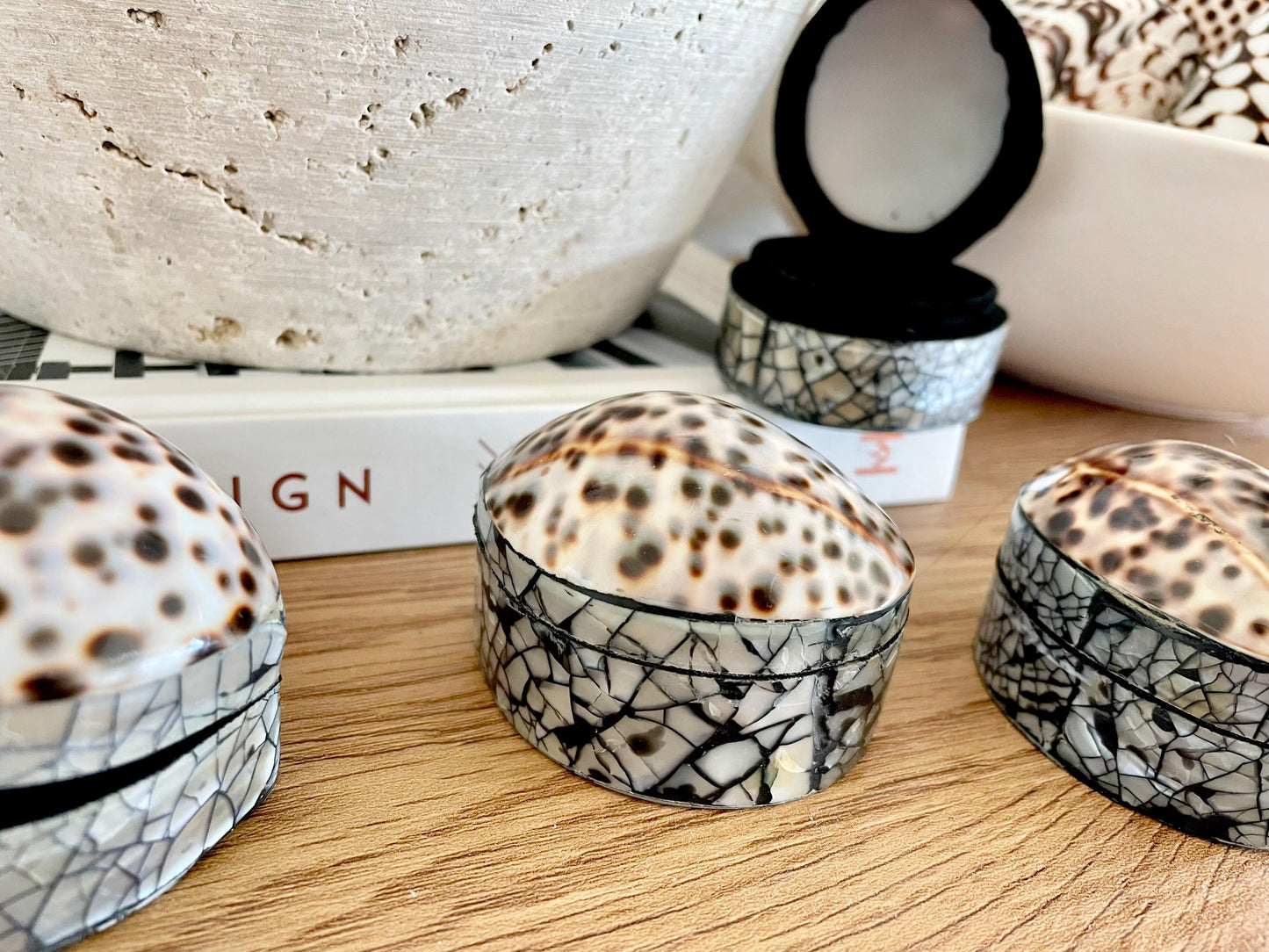 Tiger Cowry Coastal Seashell Gift Box Seashell Jewelry Trinket Dish Beach Décor Mother of Pearl Abalone Irredescent Bottom