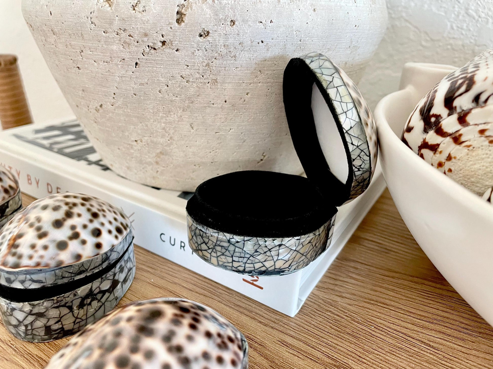 Tiger Cowry Coastal Seashell Gift Box Seashell Jewelry Trinket Dish Beach Décor Mother of Pearl Abalone Irredescent Bottom